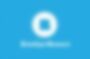 brooklyn museum logo